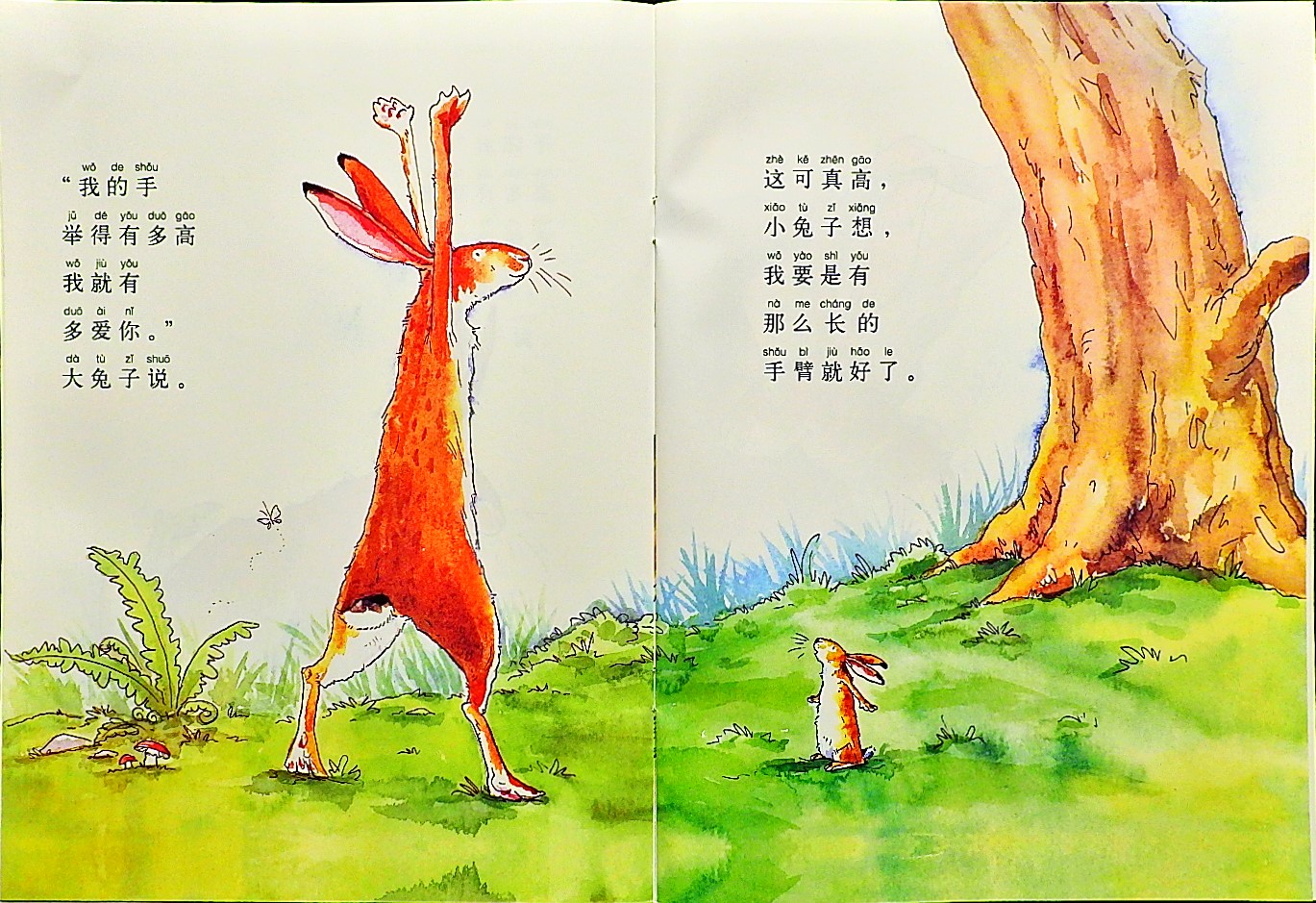 猜猜我有多爱你 (09),绘本,绘本故事,绘本阅读,故事书,童书,图画书,课外阅读